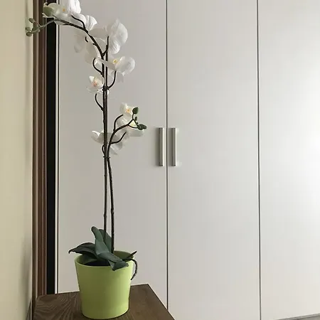 Mediterranean Loft Sea Border *
